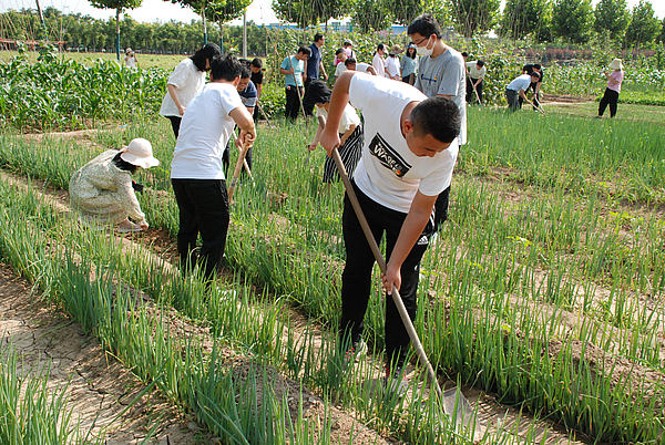 現(xiàn)場(chǎng)采摘 (3).JPG 現(xiàn)場(chǎng)采摘 (3).JPG